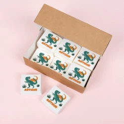 12 marshmallows personalizzati - Dinosauri. n2