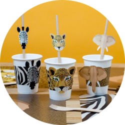 Party box Savana. n1