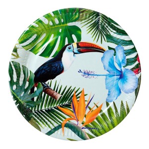 Tropical Birds